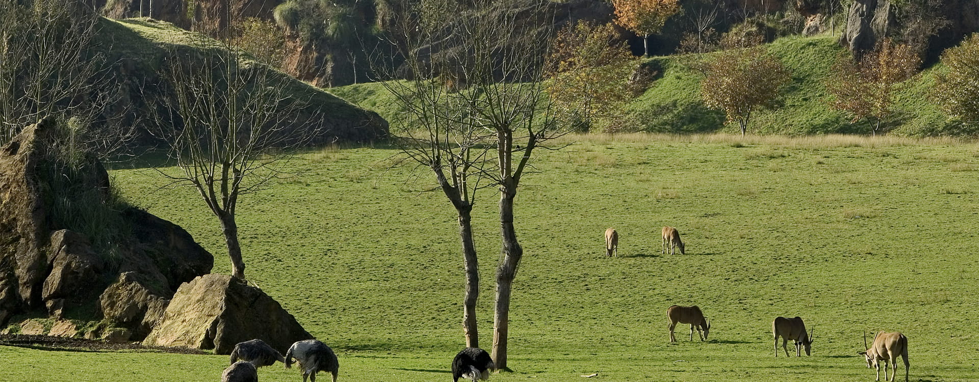 Imagen de los alrededores del hotel spa villa pasiega en Hoznayo Cantabria